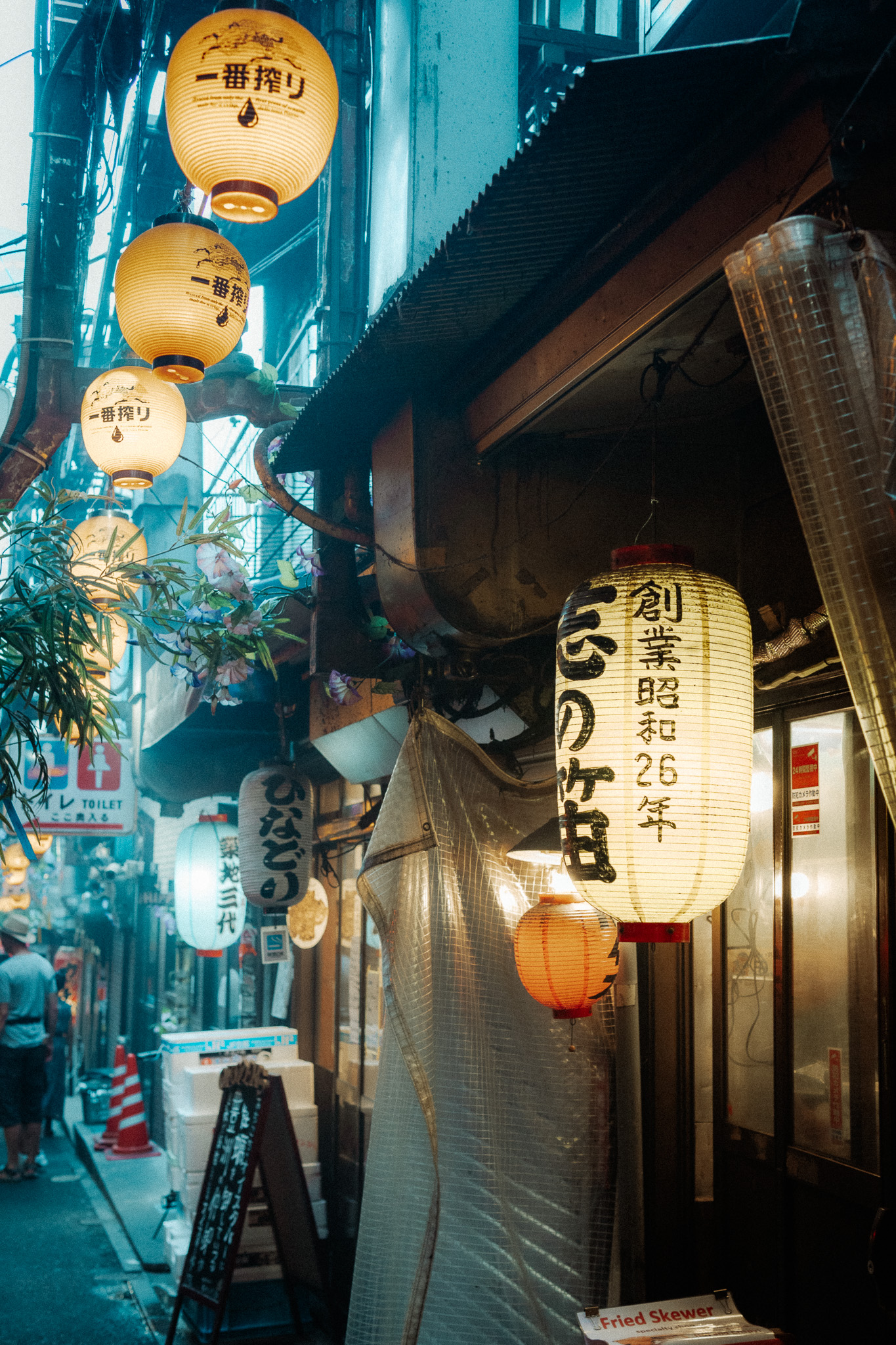 Travel gallery preview